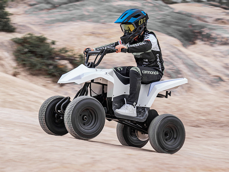 Free Shipping to the EU