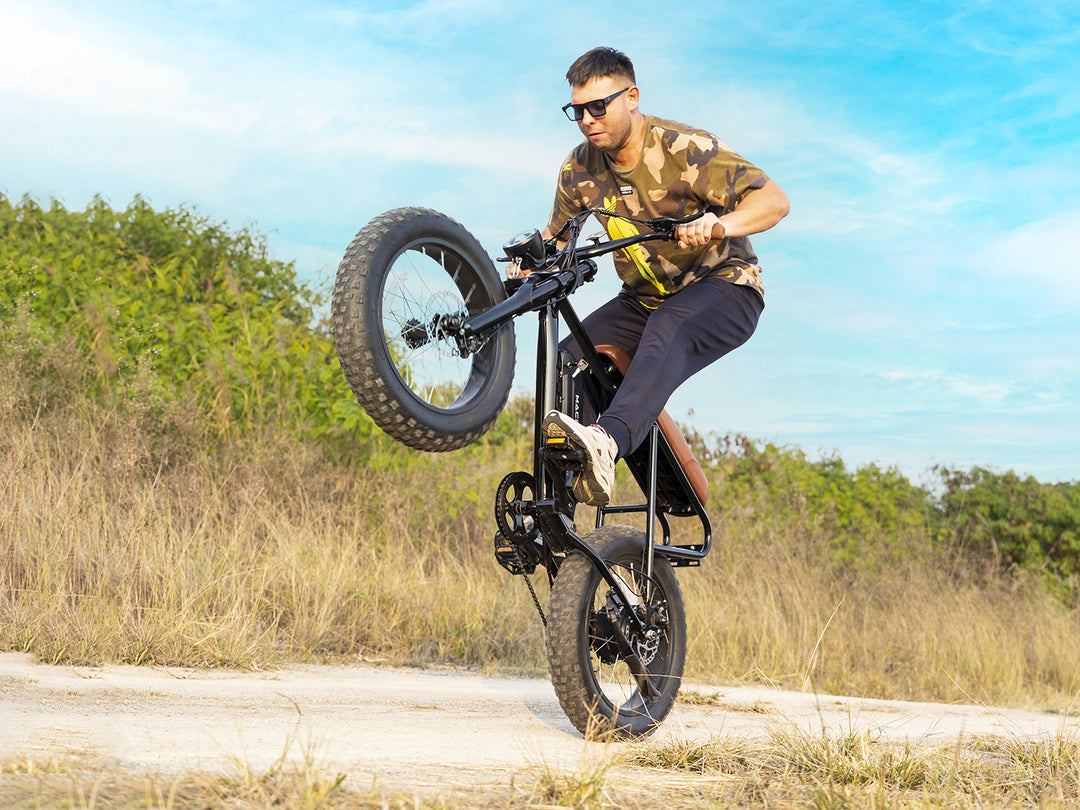 Fat Tire Electric Bike Fat Tire Electric Bike
