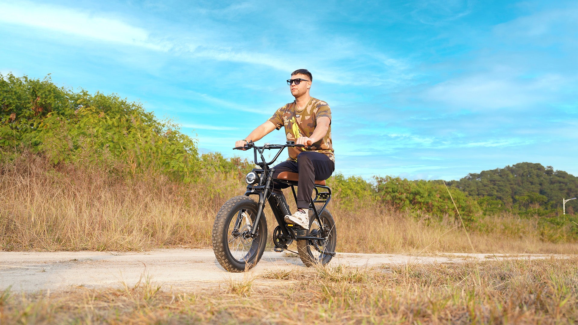 mini-swell-ebike-for-men-fat-tire-electric-bike-for-adult