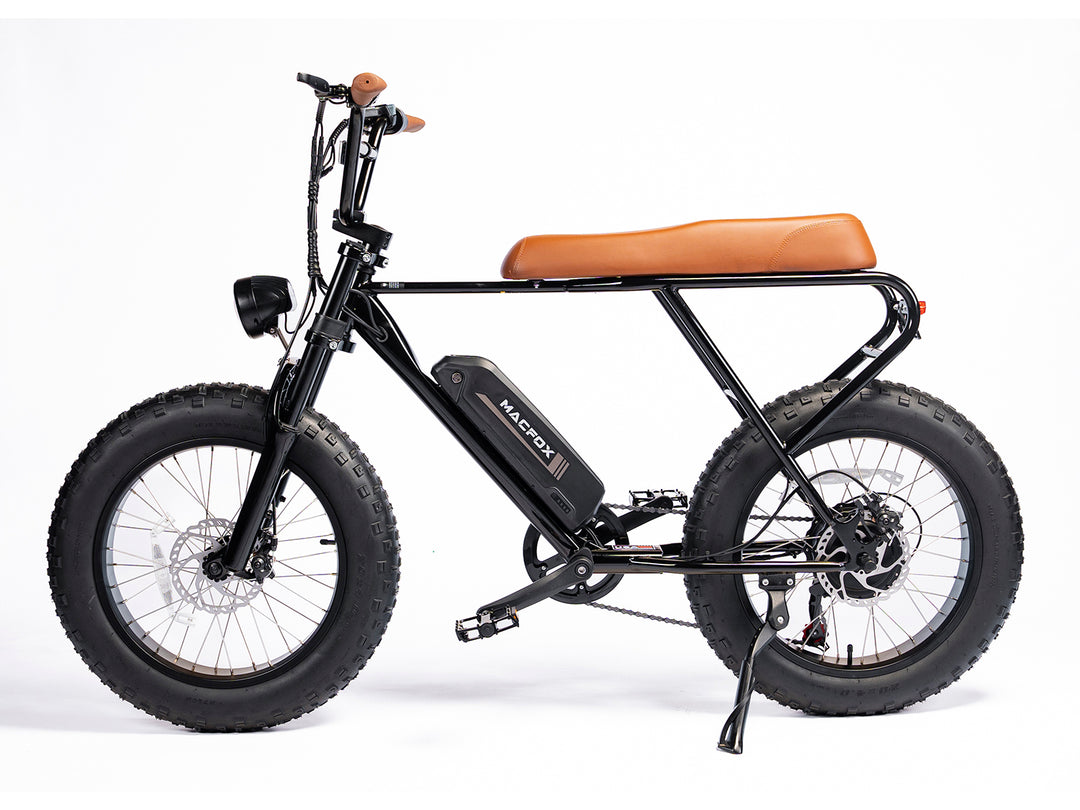Fat Tire Electric Bike