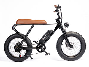 Fat Tire Electric Bike | Mini Swell eBike