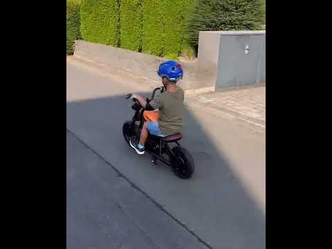 peg perego desert challenger motorcycle Challenger 12 Mini Dirt Bike – 21.9V Electric Motorcycle for Kids, 16 –  Eride Space
